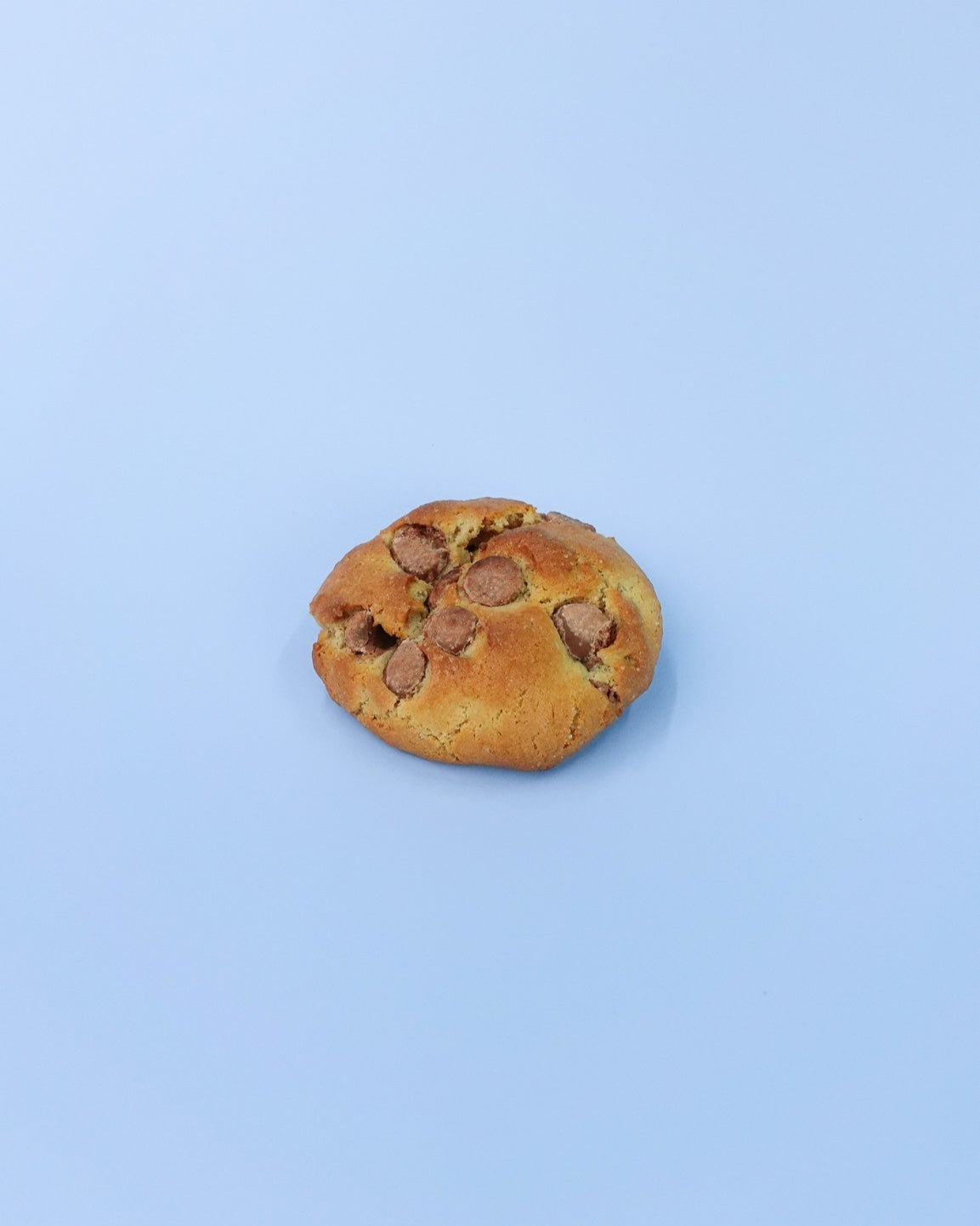 Cookie with chocolate chips on a light blue background