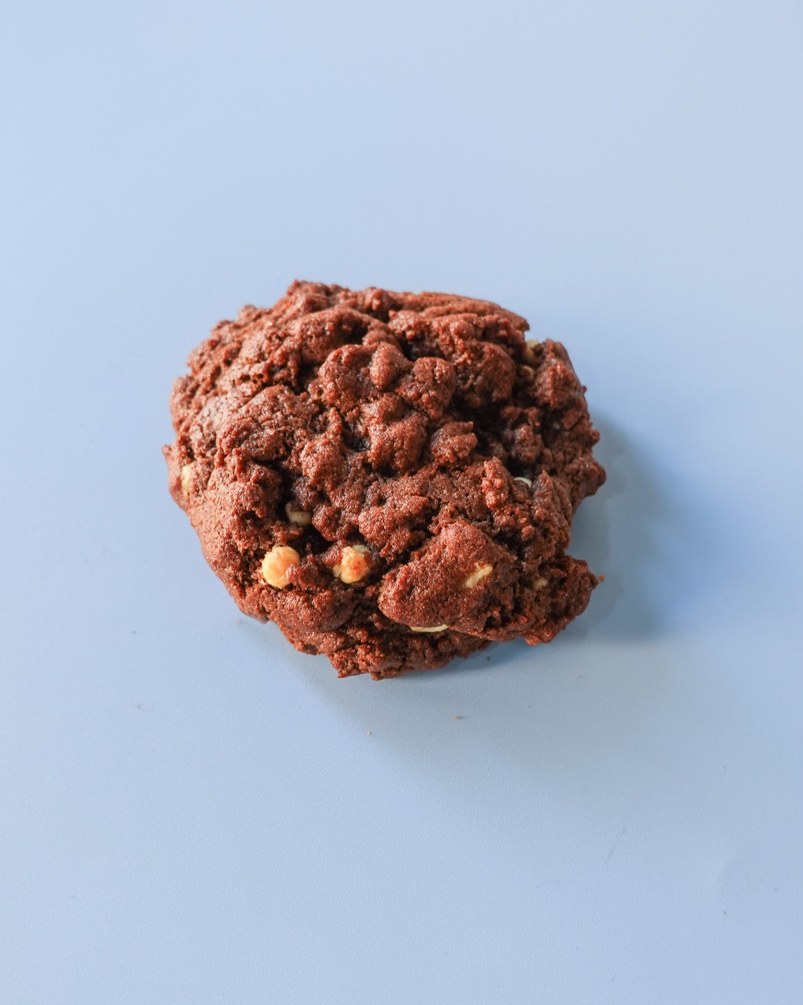 Chocolate cookie on a light blue surface