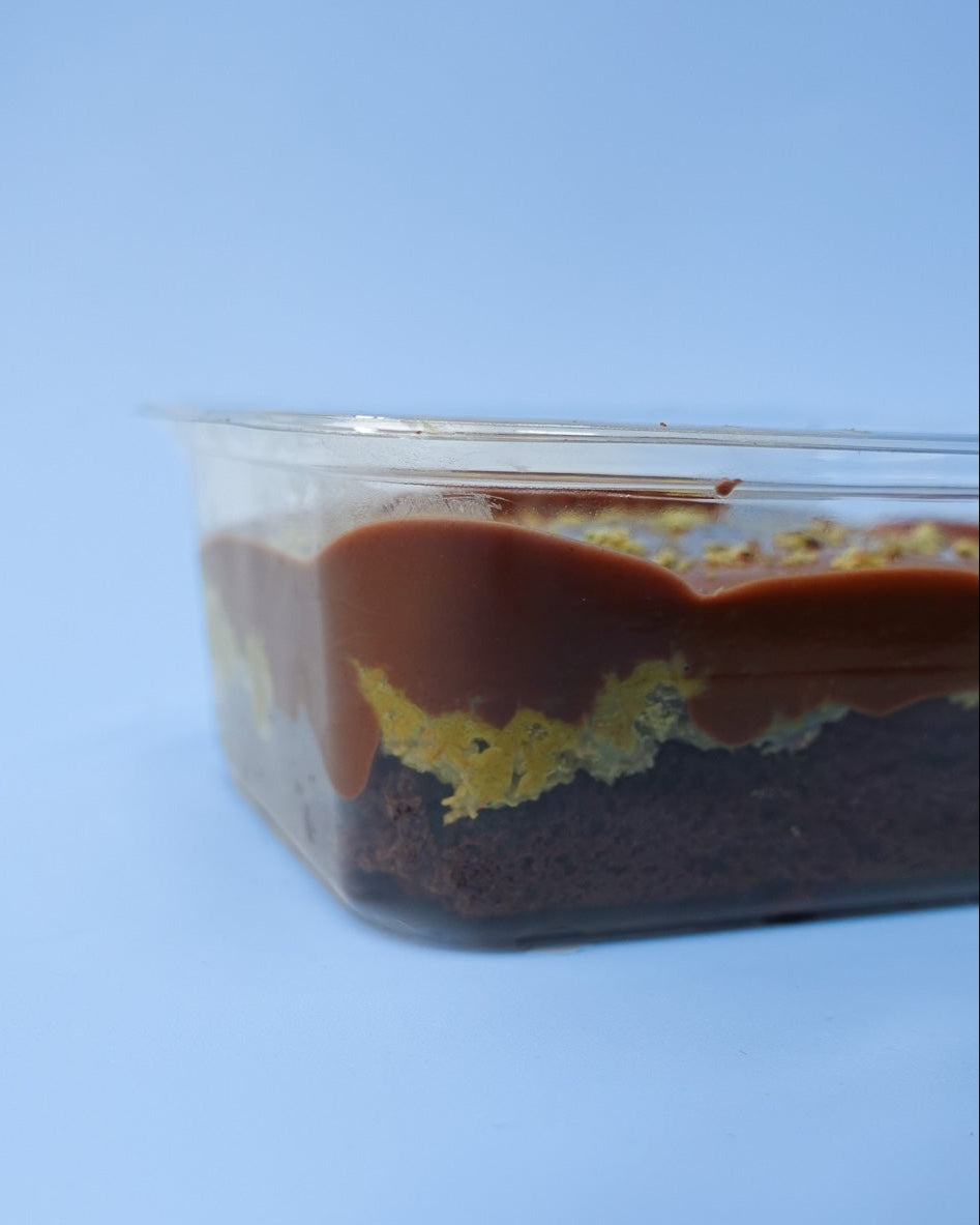 Brownie Pistachio Knafeh Chocolate Pot