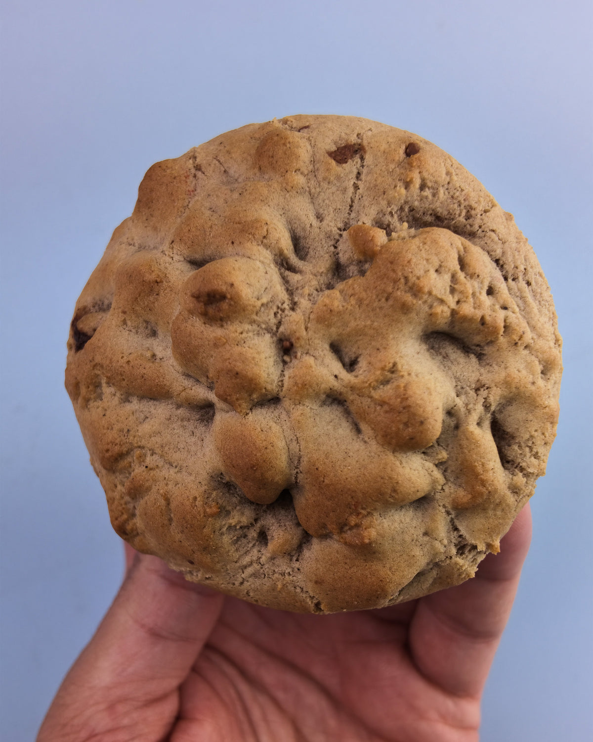 Chai Latte Cookie