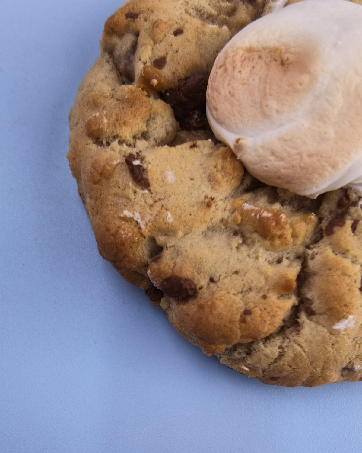 Chocolate Chip and Mallow Cookie