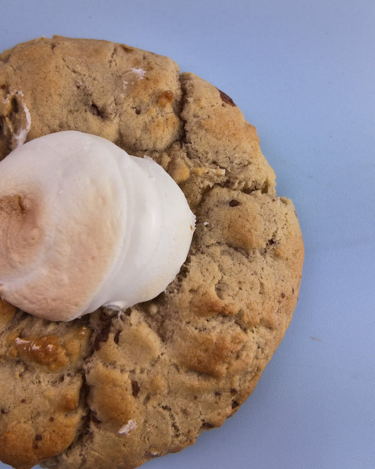 Chocolate Chip and Mallow Cookie