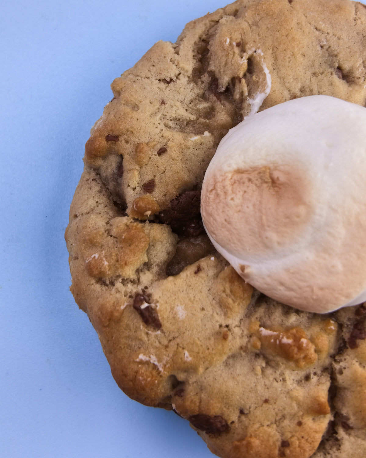 Chocolate Chip and Mallow Cookie
