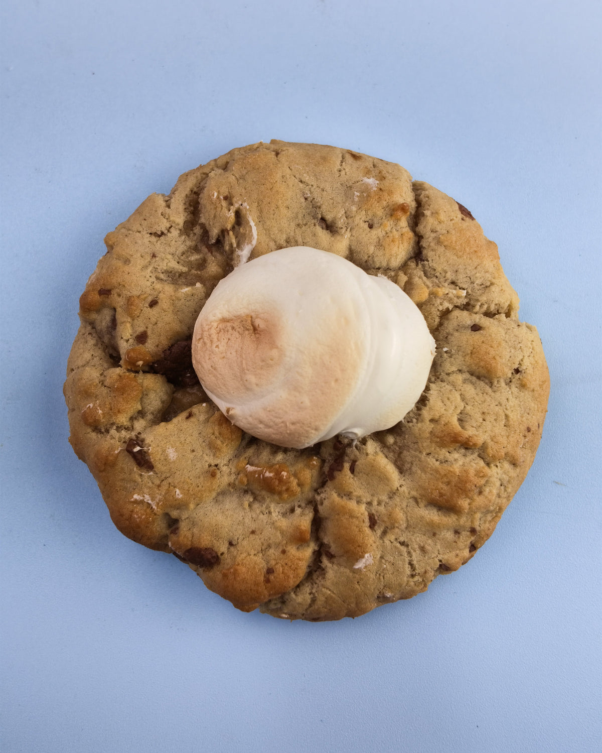 Chocolate Chip and Mallow Cookie