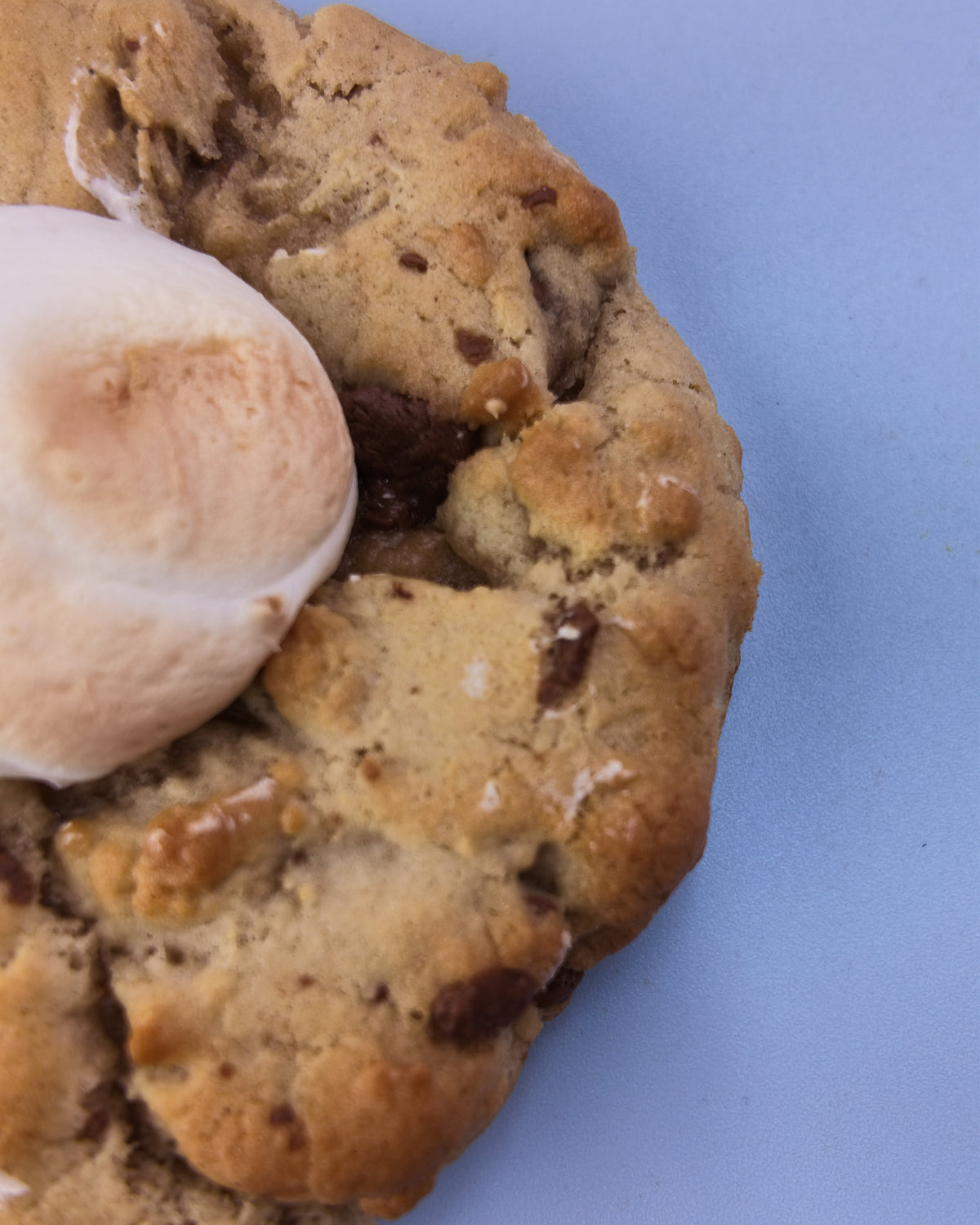 Chocolate Chip and Mallow Cookie