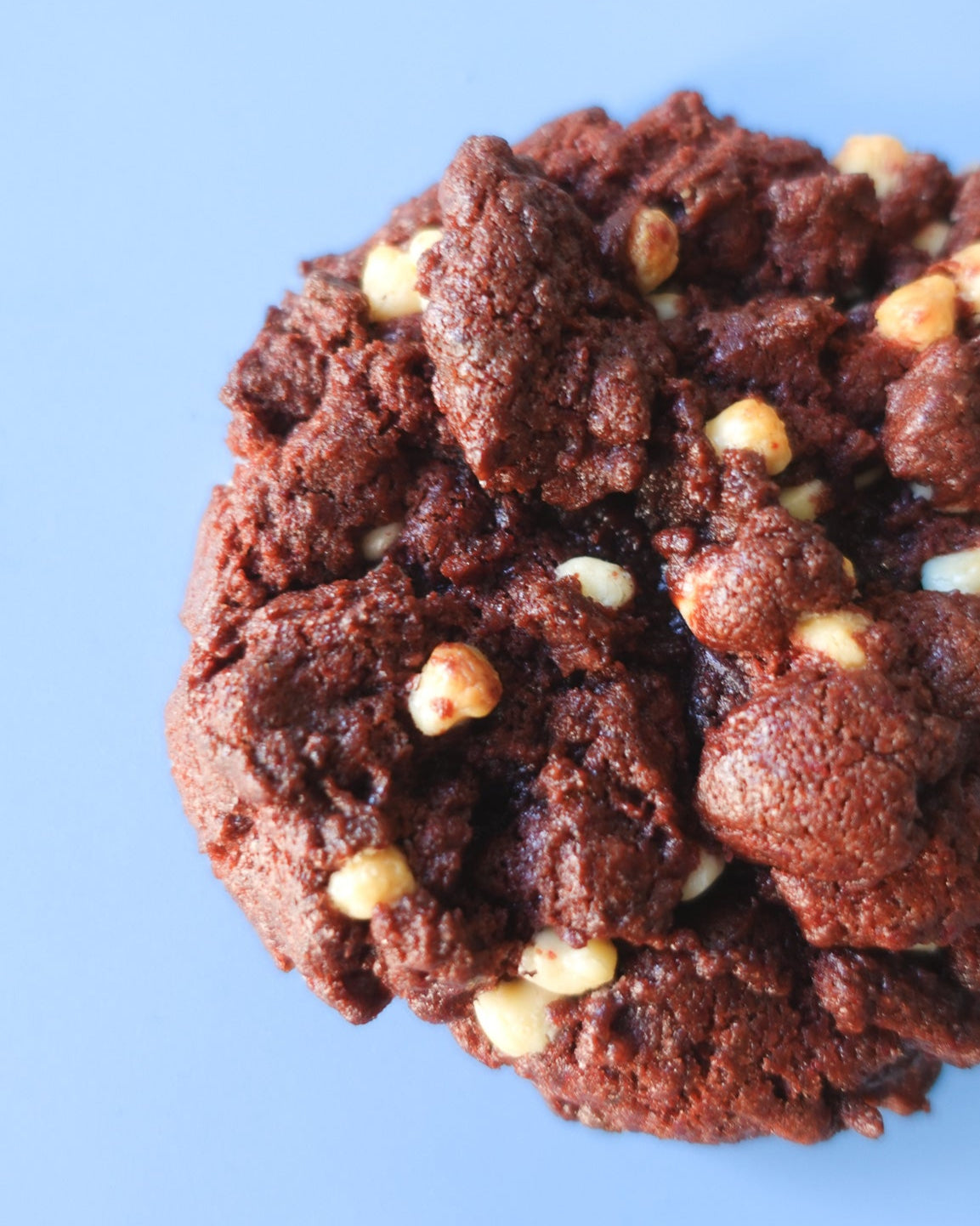 Chocolate cookie with nuts on a light blue background