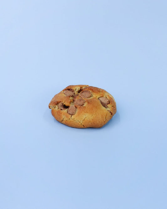 Cookie with chocolate chips on a light blue background